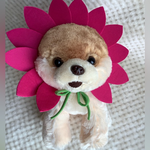 GUND Plush Boo Worlds Cutest Dog Flower Petal Costume Stuffed Pomeranian Puppy - Picture 14 of 14